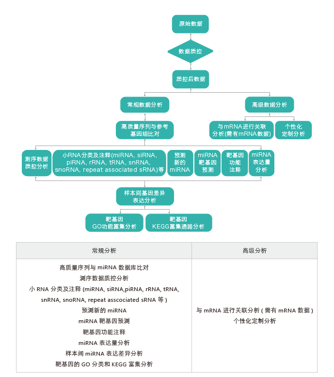 小RNA（small RNA）测序-生信分析流程-盛煌娱乐之梦基因